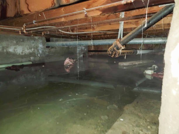 Best Water damage mitigation services  in Kulpsville, PA