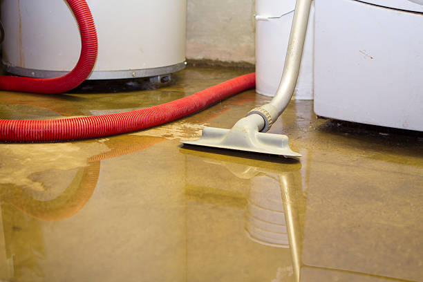 Best Local water damage restoration  in Kulpsville, PA
